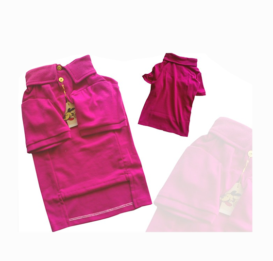 淑女款小翻领T恤